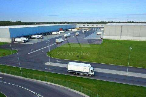 Herrieden Halle, Herrieden Hallenfläche