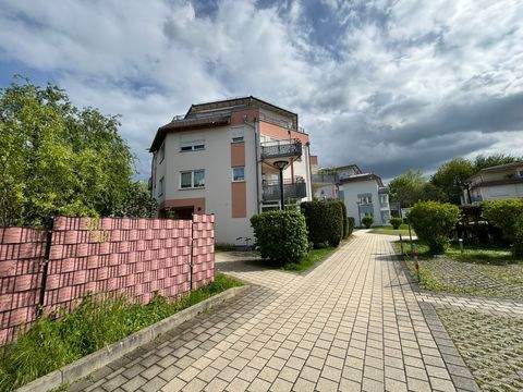 Pirna Wohnungen, Pirna Wohnung kaufen