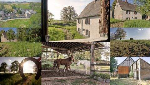 Münstermaifeld Häuser, Münstermaifeld Haus kaufen