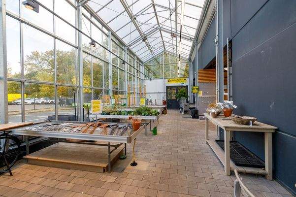 Verkaufsfläche im Gewächshaus 2