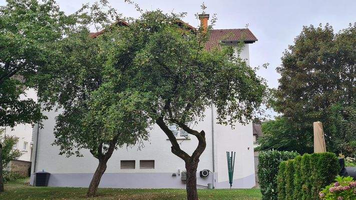 Rückansicht und Aussenanlage