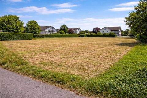 Meißenheim Grundstücke, Meißenheim Grundstück kaufen