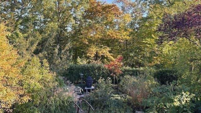 Blick zum Freisitz.jpg