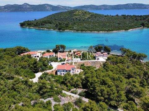 Iz - Rava Bauernhöfe, Landwirtschaft, Iz - Rava Forstwirtschaft