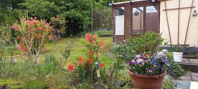 2914 Blick in den Garten
