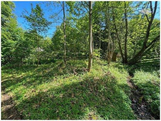 Ideal für Naturliebhaber