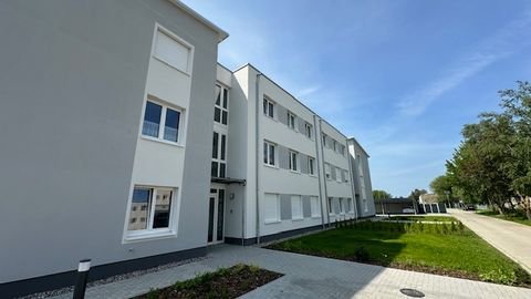 Greifswald Wohnungen, Greifswald Wohnung kaufen