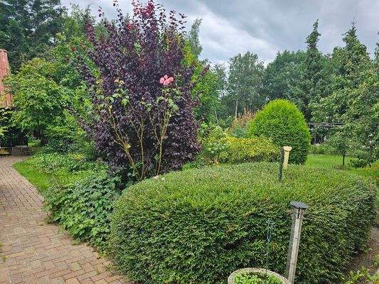 Ansicht Garten von Hauseingang.jpg