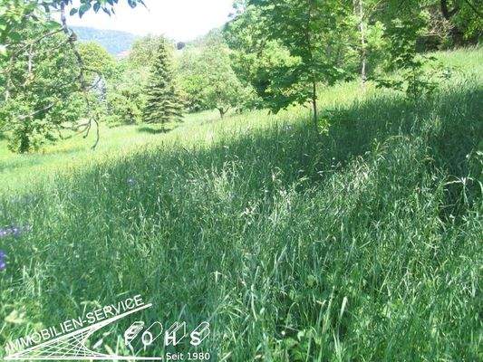 +Bad-Überk.Flur 220-4=3.245 m²Hinter dem Weiler 18