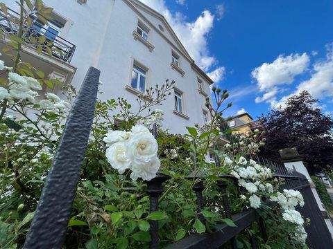 Dresden Wohnungen, Dresden Wohnung kaufen