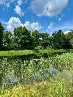 WOW - Wohnen am Schlosspark
