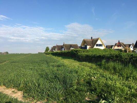 Foto 15.05.23, 18 43 06.jpg