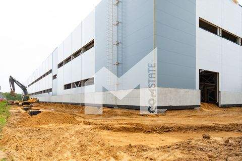 Mechernich Halle, Mechernich Hallenfläche