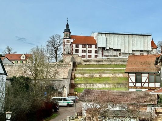 Blick auf das Schloss - kleiner Park