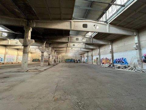 Leipzig Halle, Leipzig Hallenfläche