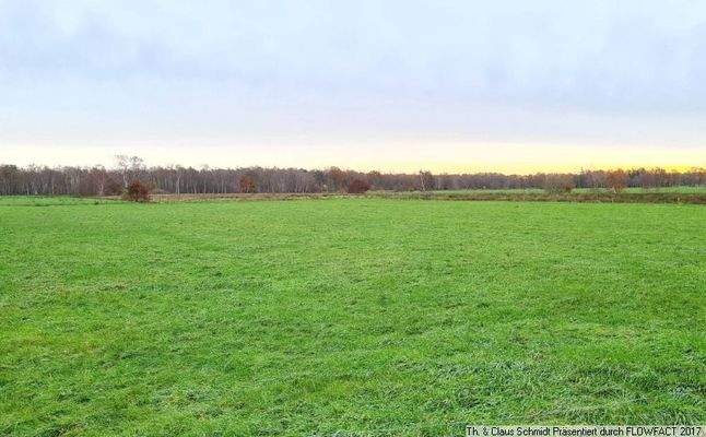 Weiterer Einblick auf die 3 ha Fläche