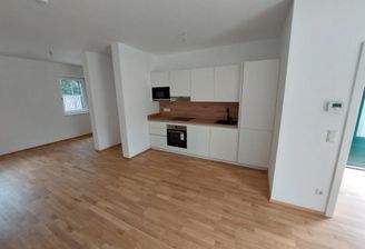 Wohnzimmer mit Küchenzeile