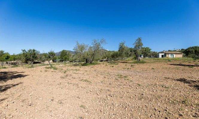 Finca zum Ausbau zwischen Santa Maria und Alaró zu verkaufen, Mallorca
