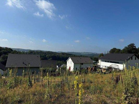 Grundstück untere Reihe Aug 24.jpg