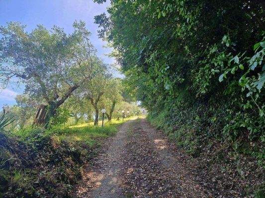 49_Rustico Toskana.jpg