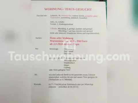 Neckargemünd Wohnungen, Neckargemünd Wohnung mieten