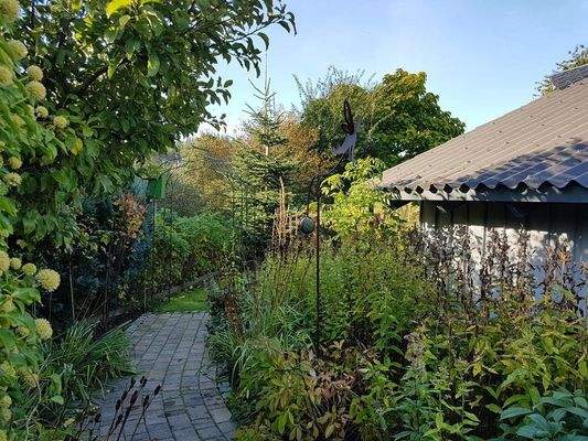 Eingewachsenes Grundstück