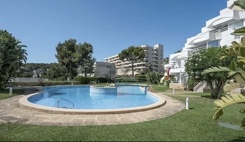 Calvia - Cala Vinyes Wohnungen, Calvia - Cala Vinyes Wohnung kaufen