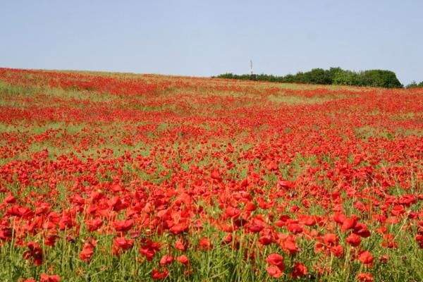 und wann kommen Sie ?