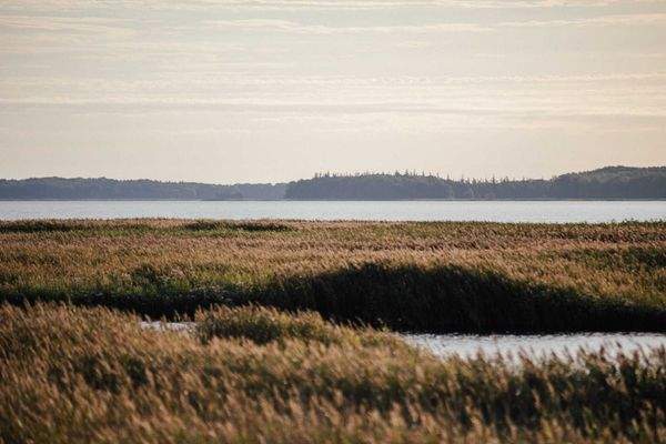 Prima Resort Bodenblick 2