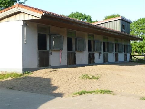 Boostedt Bauernhöfe, Landwirtschaft, Boostedt Forstwirtschaft