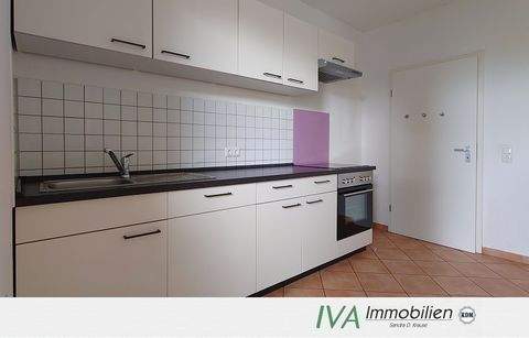 Riesa Wohnungen, Riesa Wohnung mieten