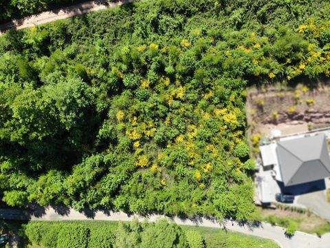 Bundenthal Grundstücke, Bundenthal Grundstück kaufen