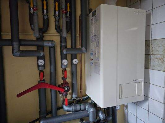 450 - Gas- Brennwerttherme.jpg