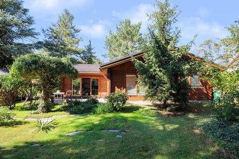 Gommern Häuser, Gommern Haus kaufen