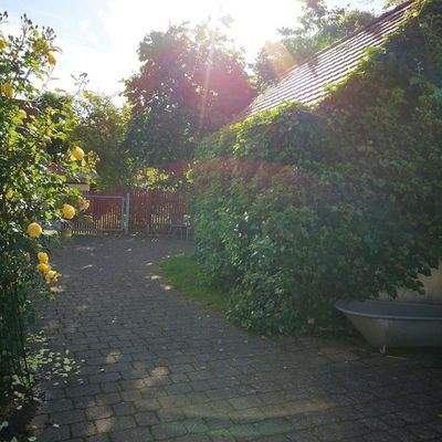 Hof Ferienhaus Falkenlust