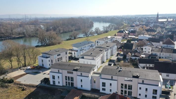 Bautenstand