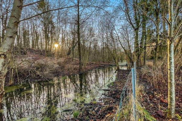 Grundstücksansicht hinten