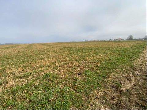 Kipfenberg Bauernhöfe, Landwirtschaft, Kipfenberg Forstwirtschaft