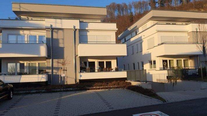 WhatsApp Image 2024-01-28 at 16.41.41.jpeg