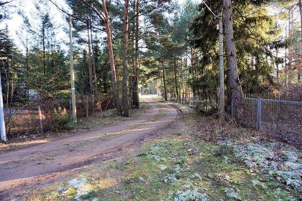 Vor dem Grundstück (6).JPG