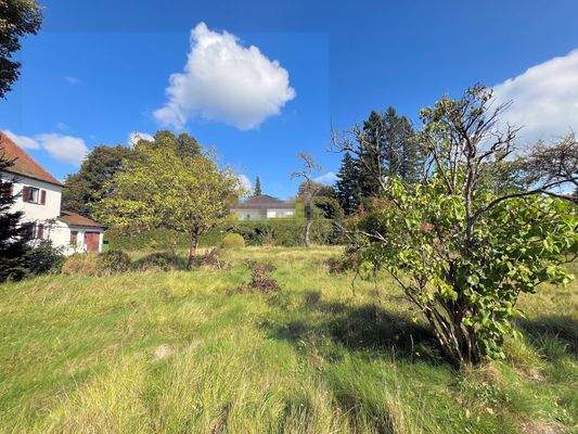 Grundstück mit Altbestand