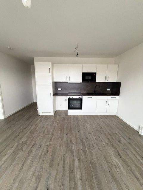 Dresden Wohnungen, Dresden Wohnung mieten