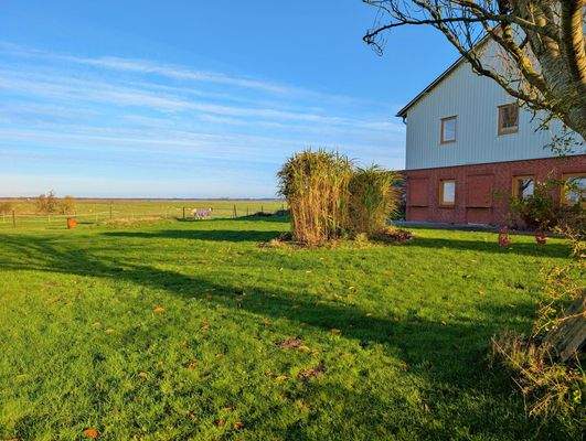 großer Garten mit viel Gestaltungsmöglichkeit