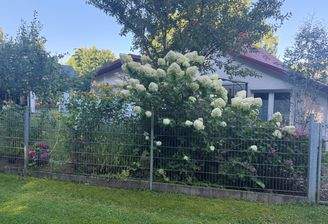 IMG_1179.jpeg