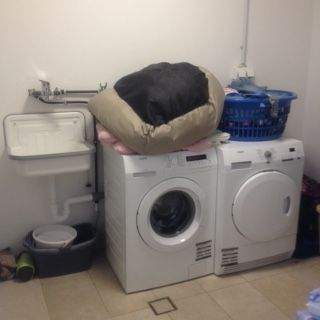 Hauswirtschafts- und Vorratsraum im EG