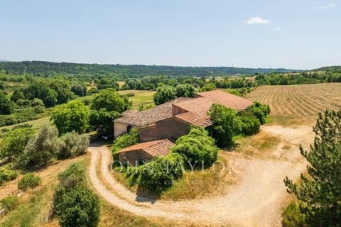 Riez Bauernhöfe, Landwirtschaft, Riez Forstwirtschaft
