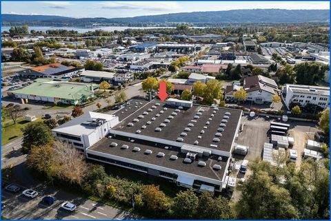 Radolfzell am Bodensee Halle, Radolfzell am Bodensee Hallenfläche