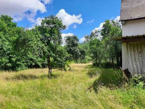 Hahnenbach Bauernhöfe, Landwirtschaft, Hahnenbach Forstwirtschaft