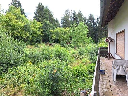 EG Balkon Aussicht.jpg