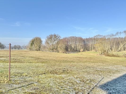 Blick über angrenzende Wiesen